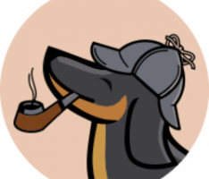 daxhund.app
