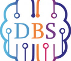 dbsystems.online