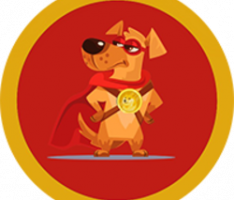 defenderofdoge.com