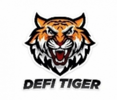 defitigertoken.com