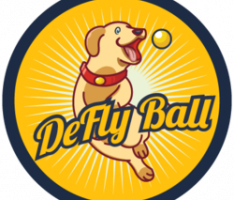 deflyball.com