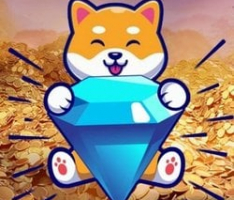diamondshiba.site