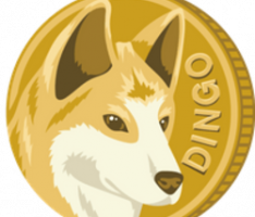 dingocoin.org