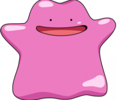 ditto.money