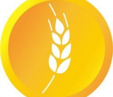 dmtc.io