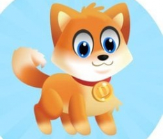dogedash.com