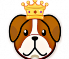dogekingtoken.com