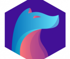 dogeprotocol.org