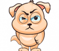 dogepup.dog