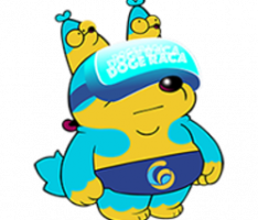 dogeraca.com