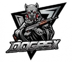 doge.sx
