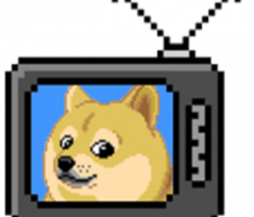 dogetv.app