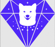 dogeuniverse.org
