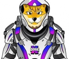 dogexmetaverse.com