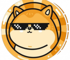 dogebtc.finance