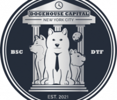 dogehousecapital.com