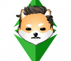 dogelonclassic.org
