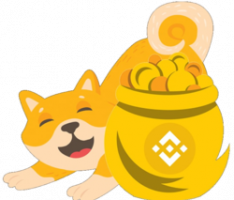 dogepot.finance