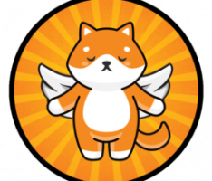 dogerise.online