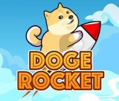 dogerocket.live