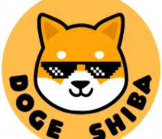 doshib.net