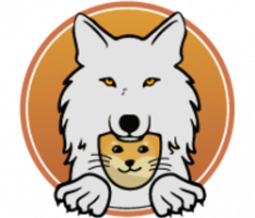 dogetama.com
