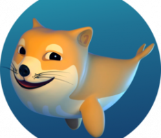 dogewhale.lol