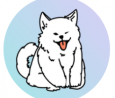 dogezoo.com