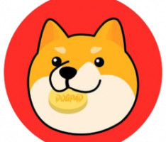 dogpad.finance