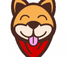 dogus.finance