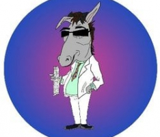 projectdonkey.com