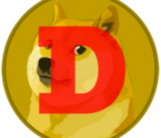 doogee.io