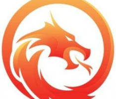 dragonfortune.org