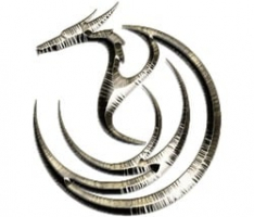 dragon-infinity.net