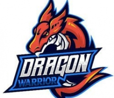 dragonwarrior.io