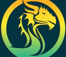 dragonsea.io