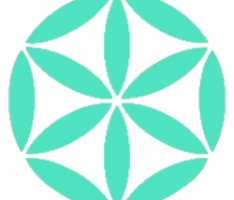 dreamrlabs.org