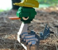 duck.community