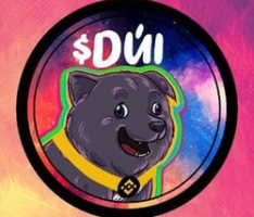 duicrypto.com