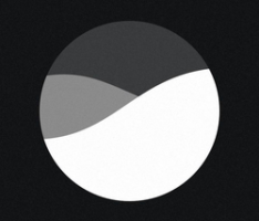 dune.network