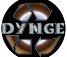 dyngecoin.com