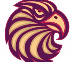 eaglenetwork.app