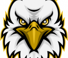 eaglevisionada.io