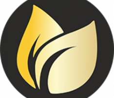 earnfinex.org