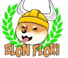 elonflokiinu.com