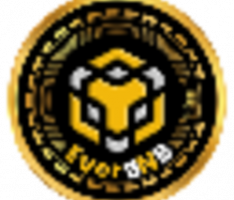 everbnb.net