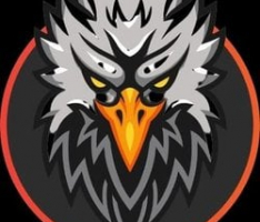 falconswaps.com