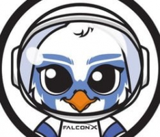 projectfalconx.com