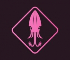 fanssquid.com