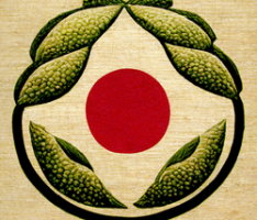 fruitsofryoshi.com